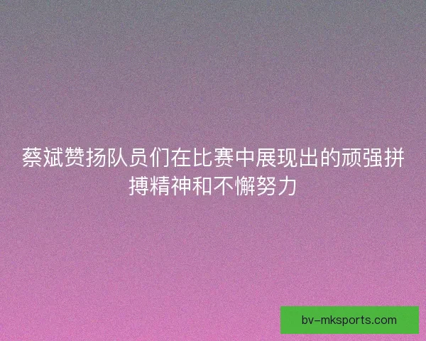 蔡斌赞扬队员们在比赛中展现出的顽强拼搏精神和不懈努力