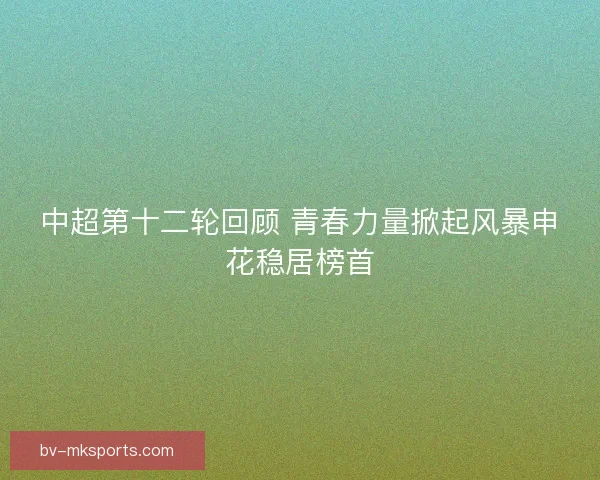 中超第十二轮回顾 青春力量掀起风暴申花稳居榜首 中超第十二轮回顾 青春力量掀起风暴申花稳居榜首