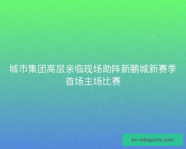 城市集团高层亲临现场助阵新鹏城新赛季首场主场比赛